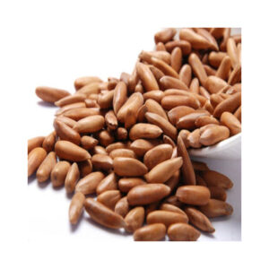Pecans Nuts