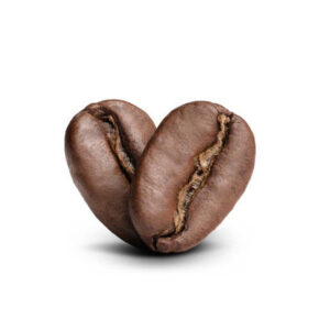 Mexican Altura Coffee