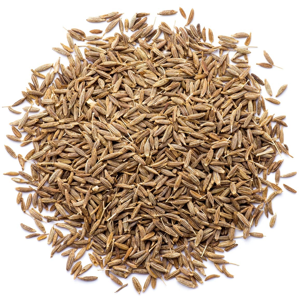Fennel Seeds