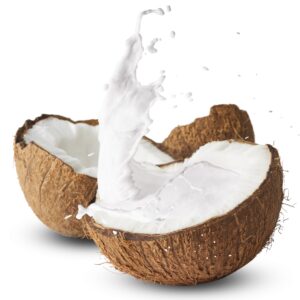 Coconut